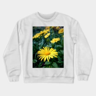 Caucasian vegetable root Crewneck Sweatshirt